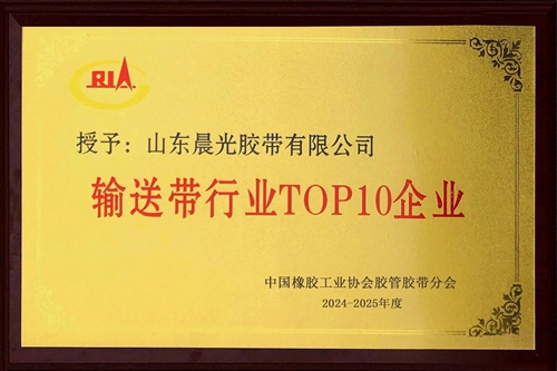 2025年输送带行业十强企业