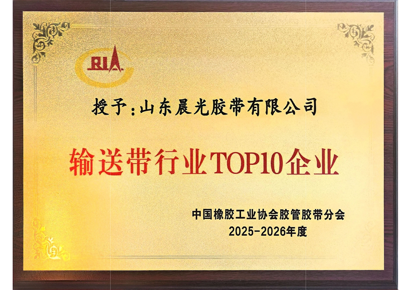 2025-2026年度输送带行业TOP10企业